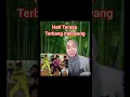 Download Lagu Surat Cinta (Lisnawati) Editan
