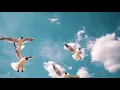 Download Lagu Aa Chal Ke Tujhe | Harish Moyal ft. Dev Moyal \u0026 Nitya Moyal