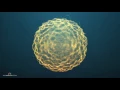 417Hz - Wipe Out All Negative Energy | Healing Tibetan Singing Bowls | Healing Camp Day #19