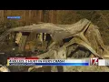 4 dead in Cumberland County crash NCSHP says