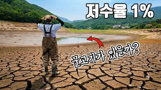 역사상 최악의 가뭄이라는 경남지역! 말라버린 하천과 저수지의 물고기는 어떻게 됐을까?