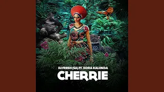 cherrie aliphatiks afro mix 