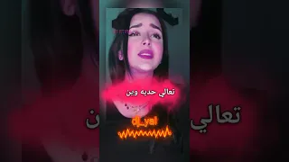 تعالي حديه وين رحتي عقلي براسي سوسحتيه بدي اعطيك مسبحتي محسوبك شحرور الوادي Dj Dj Yal 