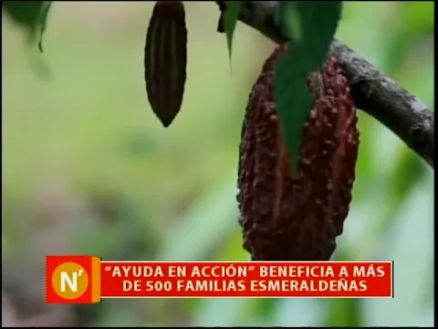 Ayuda en Acción beneficia a más de 500 familias esmeraldeñas