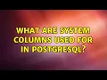 What are system columns used for in PostgreSQL