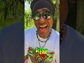 Download Lagu 'RISE UP' song 🎵 and video 📹 are OUT NOW!💚💛♥️🔥🔥🔥🇯🇲 #sevad #riseup #reggaemusic #rootsreggae