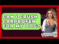 Can I Crush Carprofen For My Dog - Ask A Pet Vet