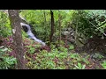 Private Waterfall in WNC - Brevard North Carolina Vacation Cabin on Airbnb