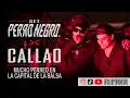 REGGAETON SET: PN X Callao en CaliCo 🔥 Puro perreo contundente en la capital de la salsa