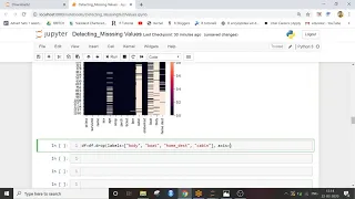 Detecting Missing Values Using Python