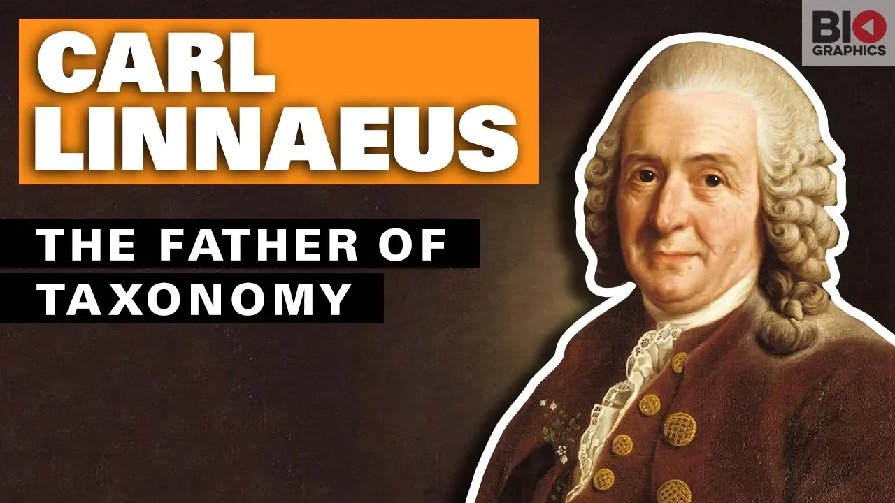 Carl Linnaeus: The Father of Taxonomy