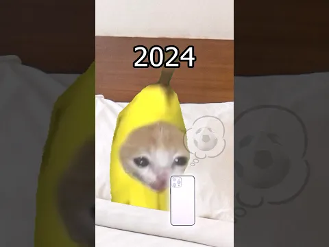 The Story of Banana Cat😹🍌｜2024 Bananacat📱