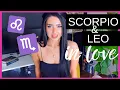Scorpio Leo COMPATIBILITY Is it a soulmate love match