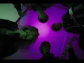 muque - Bite you(Official Music Video)