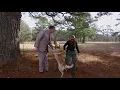 Putting K9 Dock to the Test
