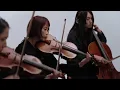 yama - color / THE FIRST TAKE