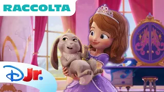 Sofia la principessa: Magia Reale 🌸🏰 Raccolta