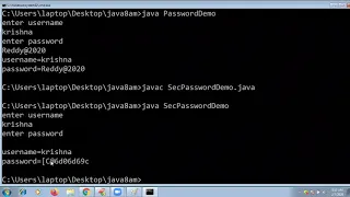 Java Console class