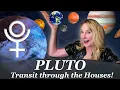Transiting Pluto through all 12 Houses Pluto Transits to Your Natal Chart Most Important Dates