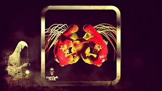 david lindmer u0026 fabian b don t call me extended mix captive soul 