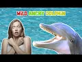 Are DOLPHINS Friendly to Humans Don t Fool Yourself