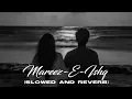 Download Lagu Mareez E Ishq (Slowed And Reverb)