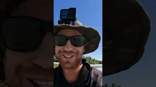 GIANT MUDCRAB: World Record Search!