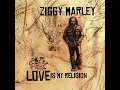 Beach in Hawaii - Ziggy Marley