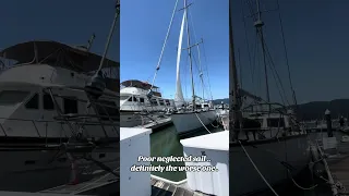 Definitely the worse of the 5 sails I have sadly . #fyp #dream #sailing  #vlog #pets #doberman