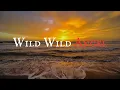 Download Lagu Chris Norman - Wild Wild Angel (Lyrics)