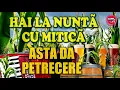 Download Lagu MUZICA DE PETRECERE – ZORILE \u0026 Mitica Blandu - HAI LA NUNTA CU MITICA
