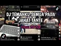 Lagu DJ TEMAN KU SEMUA PADA JAHAT TANTE | TEMAN DATANG KETIKA BUTUH SAJA | VIRAL TIK TOK |
