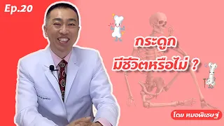  กระดูกของคนเราเป็นสิ่งมีชีวิตหรือไม่ และมีหน้าที่อะไรบ้าง 