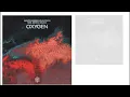 MARTIN GARRIX & DUBVISION ft JORDAN GRACE Oxygen