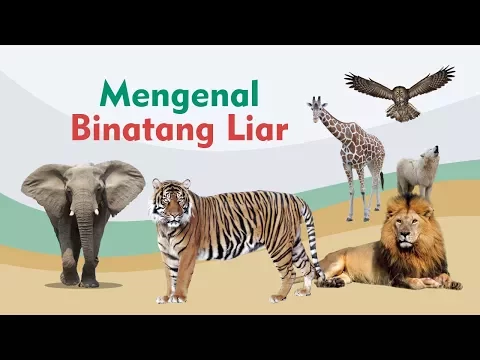 Download MP3 Mengenal Suara Binatang untuk Anak Balita - Video Edukasi Animasi Indonesia