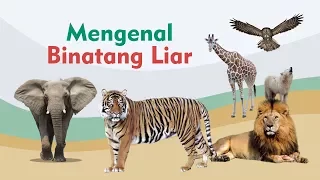 Download Mengenal Suara Binatang untuk Anak Balita - Video Edukasi Animasi Indonesia MP3