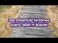 Faux-frère 
