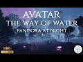 Download Lagu Avatar Ambience Music | The Way of Water | Pandora At Night | Relax | Sleep | Study | Focus | Peace