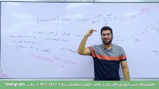 المحاضرة الرابعة السيال العصبي وآلية انقباض الجهاز العضلي الحركة في الإنسان الجزء الثاني 