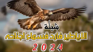 شيلة الاياطير فارد فسماء اجناحه جديد 2024 الحان تراث صعدي اداء محمد الرازحي 