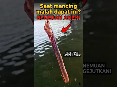 GASWAT! Niat Mancing Malah Dapat Makhluk Aneh Ini! 😱 | #shorts #mystery