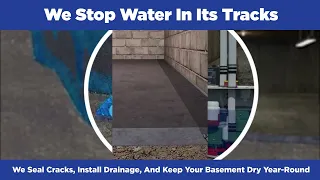 Dryzone Basement Systems - Your Local Basement Waterproofing Experts