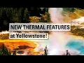 NEW THERMAL FEATURES at Yellowstone Yellowstone Volcano Update July 2023