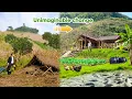 CEO Quits The City to Build a MEGA-FARM in the Deep Forest | 60 Days