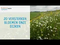 Bloemrijke dijken: niet alleen mooi, maar ook nuttig | Waterwebinars 2025 | 31-10-2025
