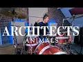 Download Lagu Architects  - Animals | Drum Cover