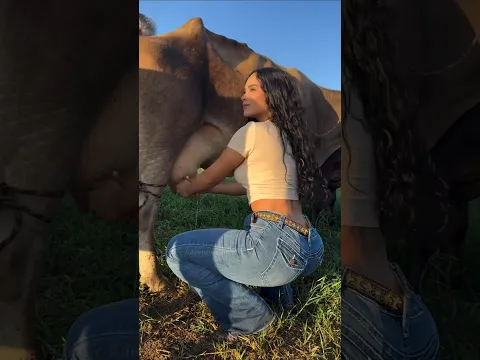 When it takes time for the farmer to milk the cow #shorts