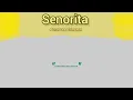 Senorita (Reprise) | Pushkar Sharma| María del Mar Fernández |