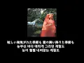 浜崎あゆみ 하마사키 아유미 - Voyage 가사 한글 자막 lyric