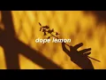 marinade // dope lemon